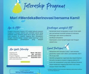 Paragon Internship Program