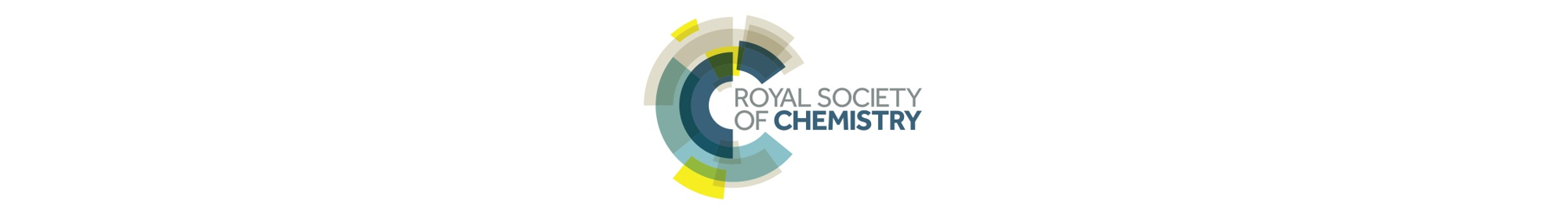 RSC International Student Research Bursary