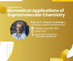 Guest Lecture: BIOMEDICAL APPLICATIONS OF SUPRAMOLECULAR CHEMISTRY